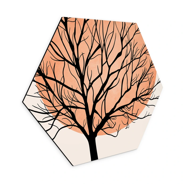 Hexagon Wandbild Apricotfarbene Sonne - Kubistika - Alu-Dibond 