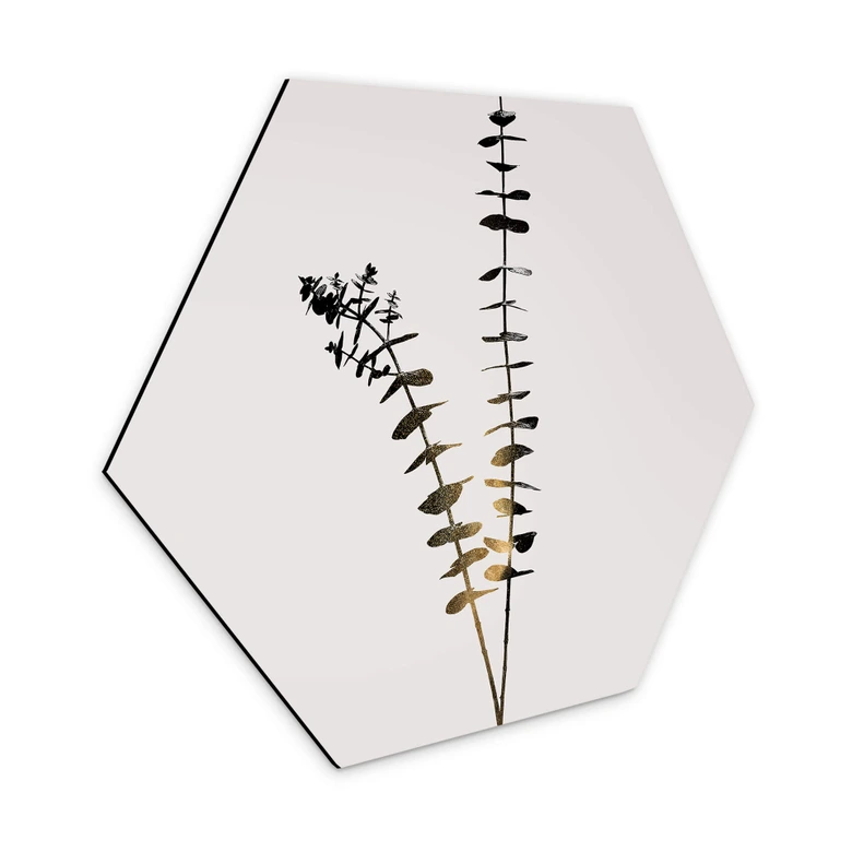Hexagon - Alu-Dibond Kubistika - Schwarz-Goldener Eukalyptus 
