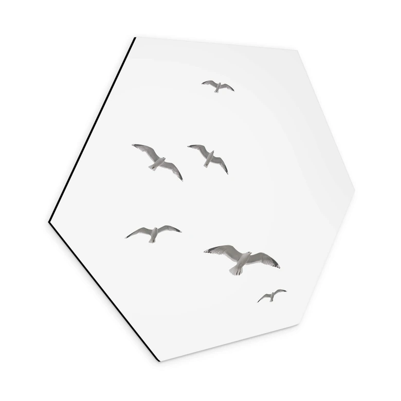 Hexagon Wandbild Möwen am Himmel - Alu-Dibond 