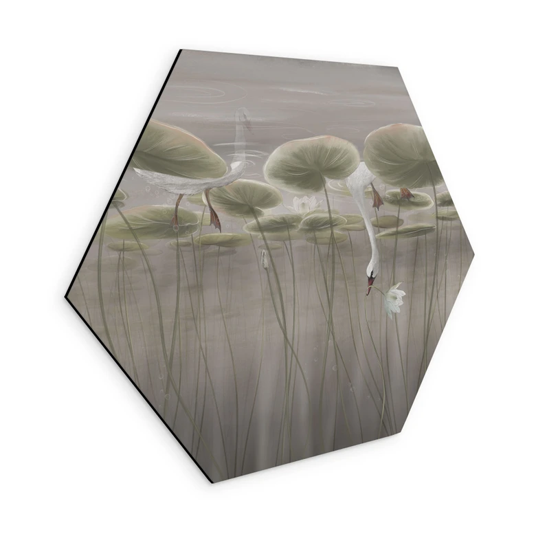 Hexagon Wandbild Lotusblumen mit Schwan im Wasser in Grau - Ms Tiff - Alu-Dibond 