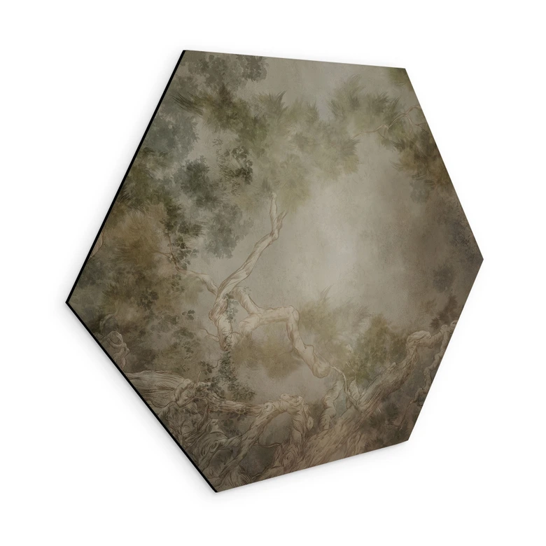 Hexagon Wandbild Wald mit Blick in die Baumwipfel - Ms Tiff - Alu-Dibond 