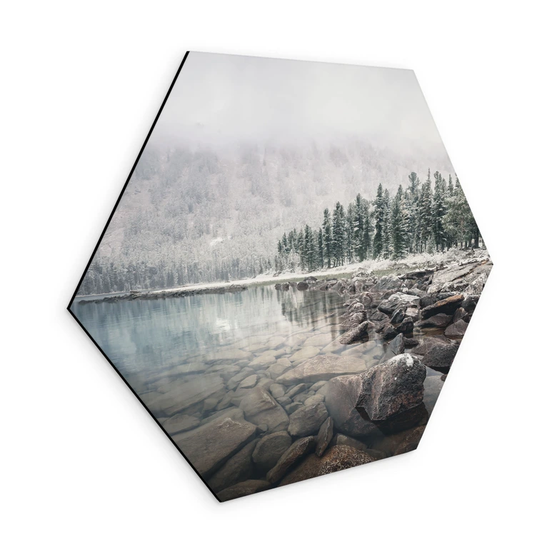 Hexagon Wandbild Winterwald am See - Rostovskiy - Alu-Dibond 