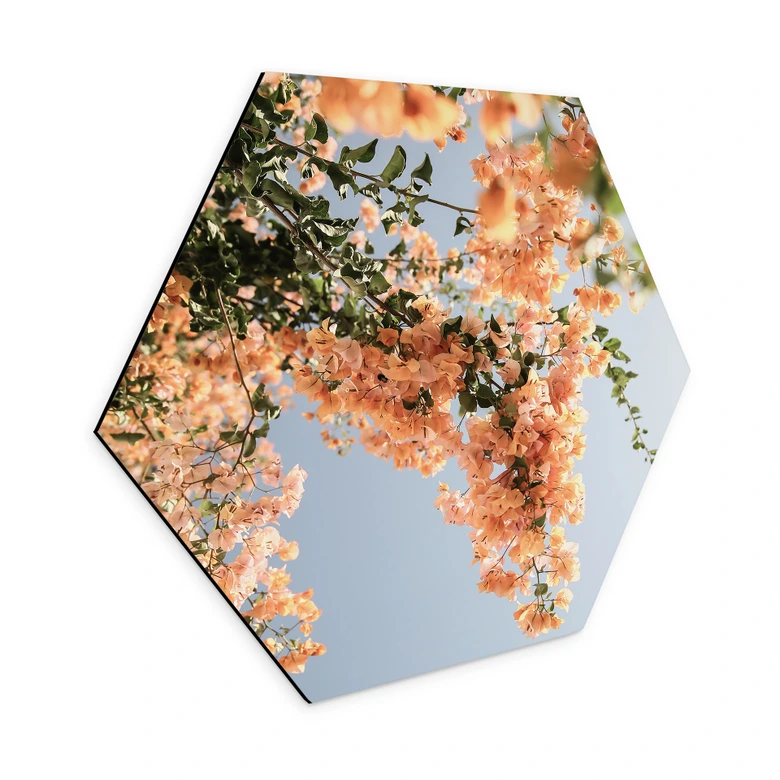 Hexagon Dibond Perzikkleurige bloesems in Assos - Shot by Clint 