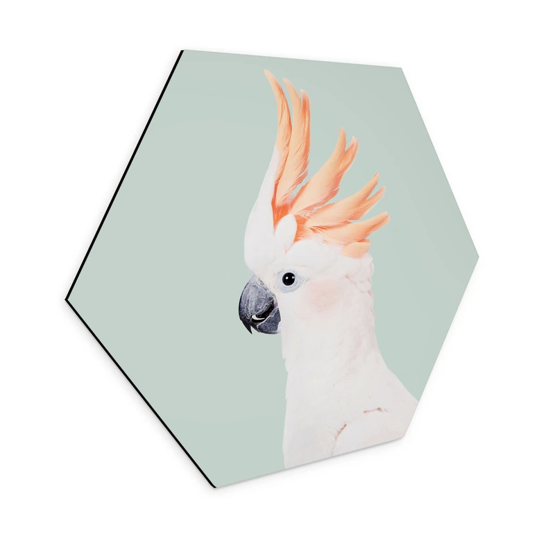 Hexagon Dibond Roze kaketoe dierenportret - Sisi & Seb 