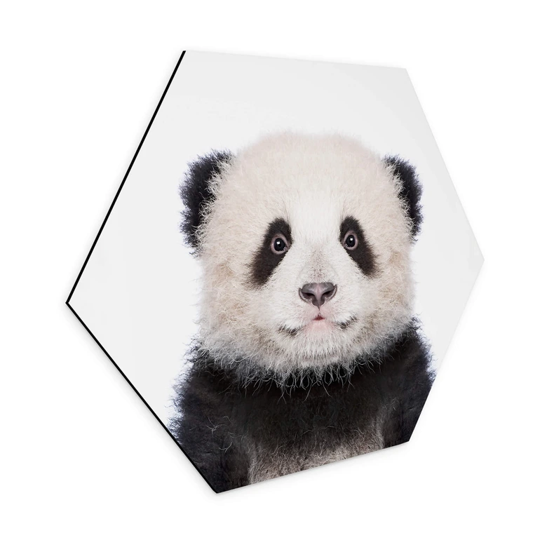 Hexagon - Alu-Dibond - Sisi & Seb - Baby Panda 