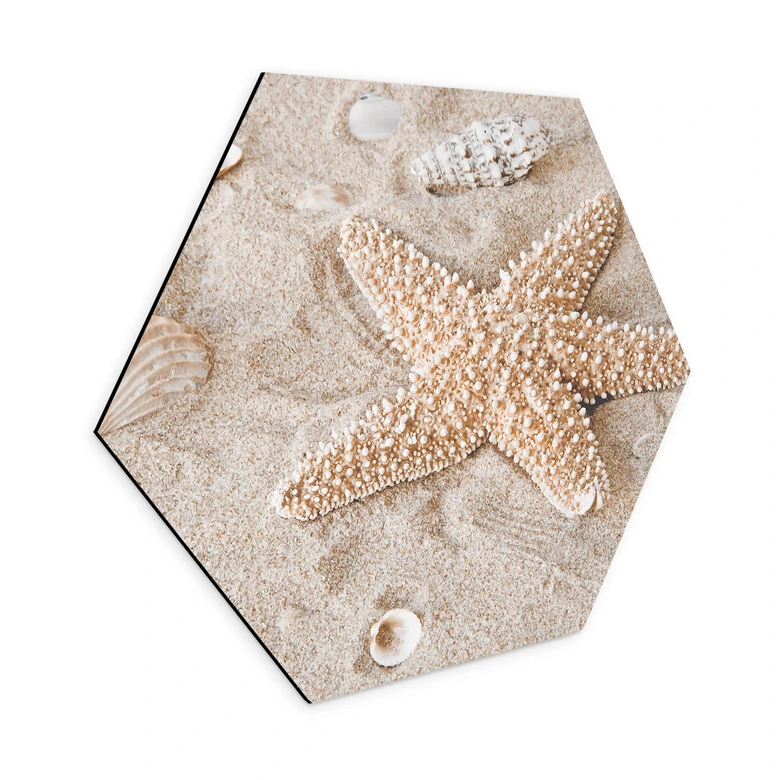 Hexagon Wandbild Sternfisch im goldenen Strand - Alu-Dibond 