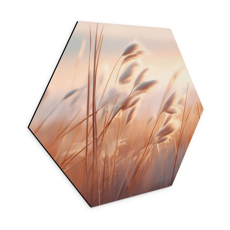 Hexagon Wandbild Dünengras in der Abendsonne - Treechild - Alu-Dibond 