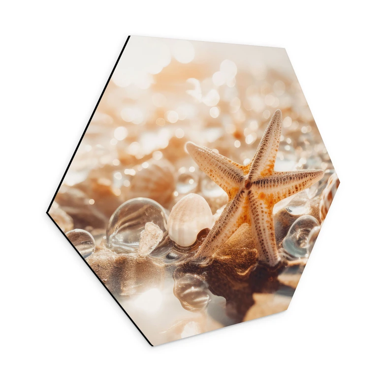 Hexagon Wandbild Muscheln am sonnigen Strand - Treechild - Alu-Dibond 