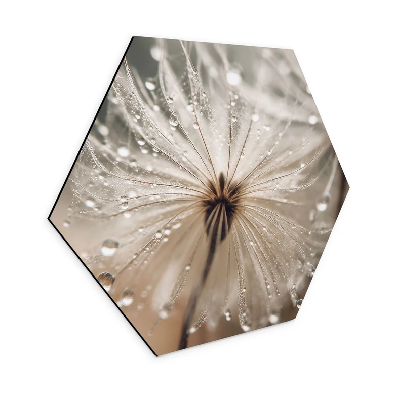Hexagon Wandbild Pusteblume in Morgentau - Treechild - Alu-Dibond 