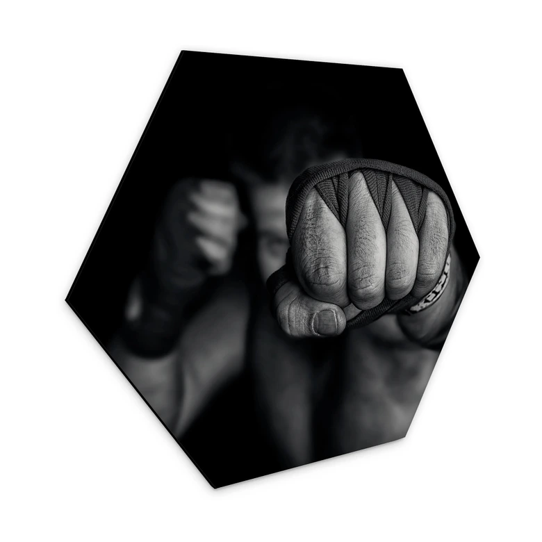 Hexagon - Alu-Dibond Vrican - Linke Gerade 