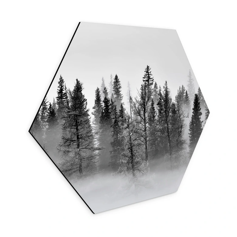 Hexagon Wandbild Nebelwald in Schwarz-Weiß - Alu-Dibond - Xu 