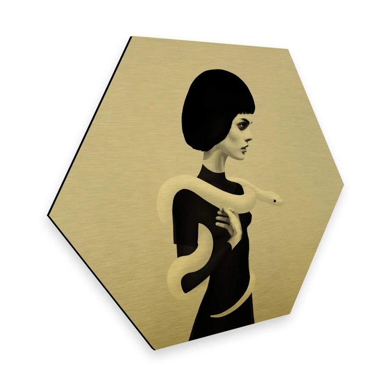 Hexagon - Alu-Dibond-Goldeffekt Ireland - Only Skin 