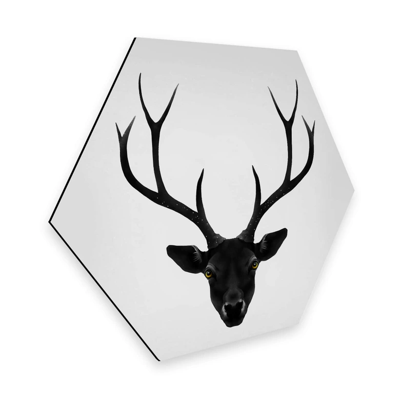 Hexagon - Alu-Dibond Ireland - The Black Deer 