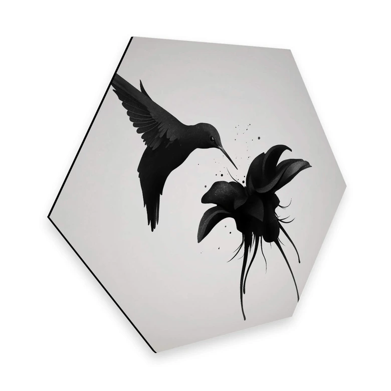 Hexagon Dibond Ireland - Kolibrie 