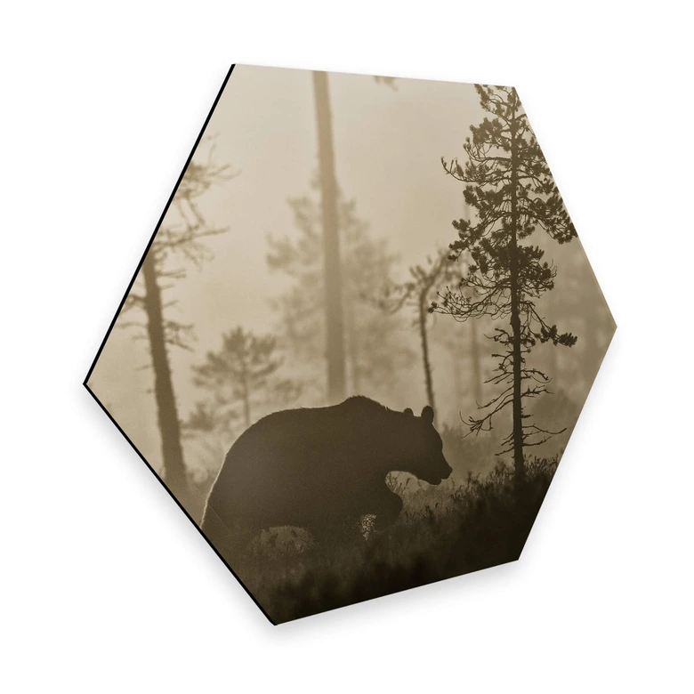 Hexagon - Alu-Dibond - Ove Linde - Morning Fog 