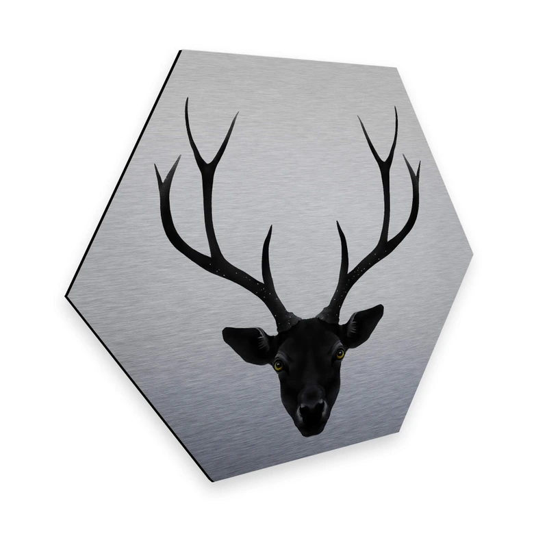 Hexagon - Alu-Dibond-Silbereffekt - Ireland - The Black Deer 
