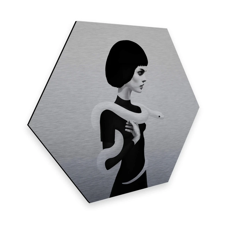 Hexagon - Alu-Dibond-Silbereffekt Ireland - Only Skin 