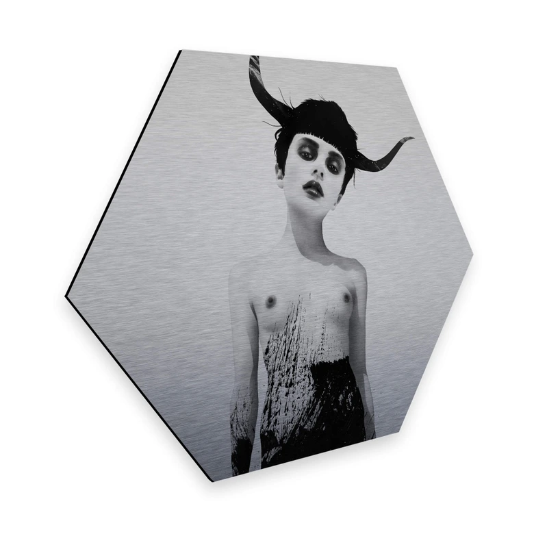 Hexagon - Alu-Dibond-Silbereffekt - Ireland - The Sweetest Kill 