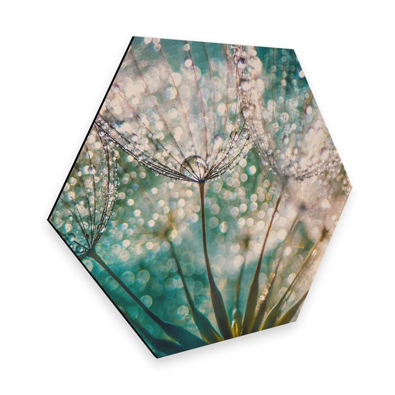 Hexagon - Alu-Dibond Delgado - Glittery Dandelions 