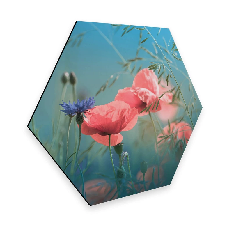 Hexagon - Alu-Dibond Delgado - Wildblumen Aquamarin 