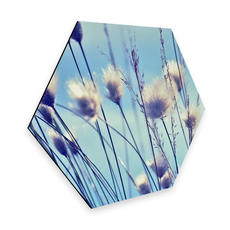 Hexagon - Alu-Dibond Delgado - Wind im Gras 
