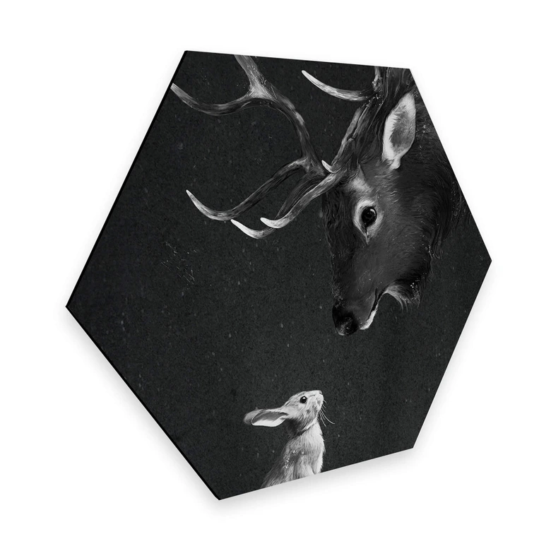 Hexagon - Alu-Dibond Graves - Deer and Rabbit 