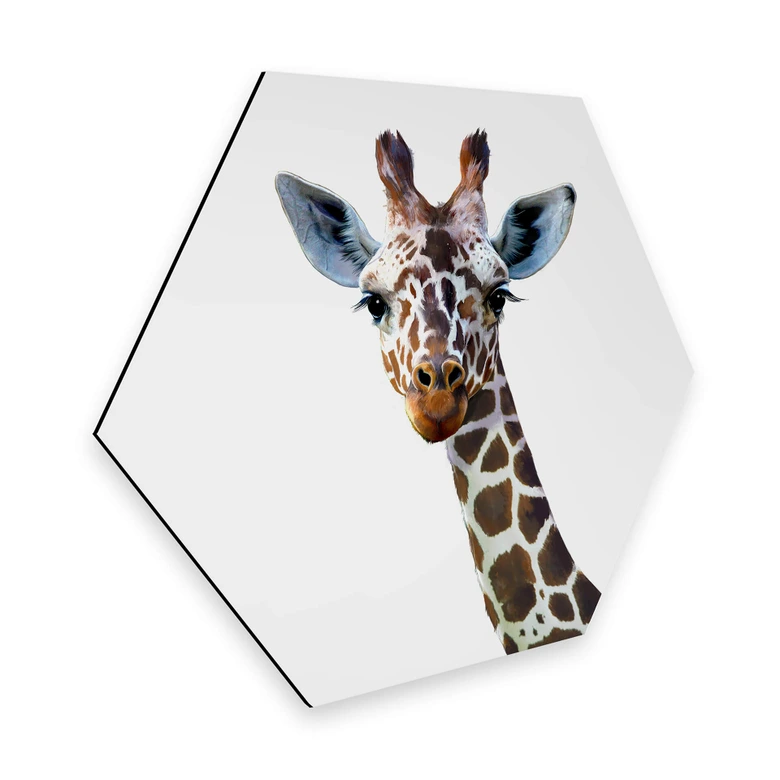Hexagon - Alu-Dibond Graves - Giraffe 