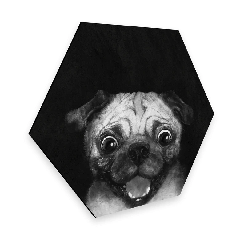 Hexagon - Alu-Dibond Graves - Snuggle Pug 