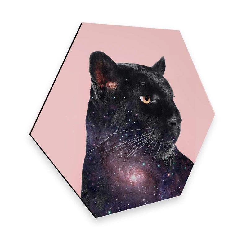 Hexagon - Alu-Dibond Loose – Galaxy Panther 