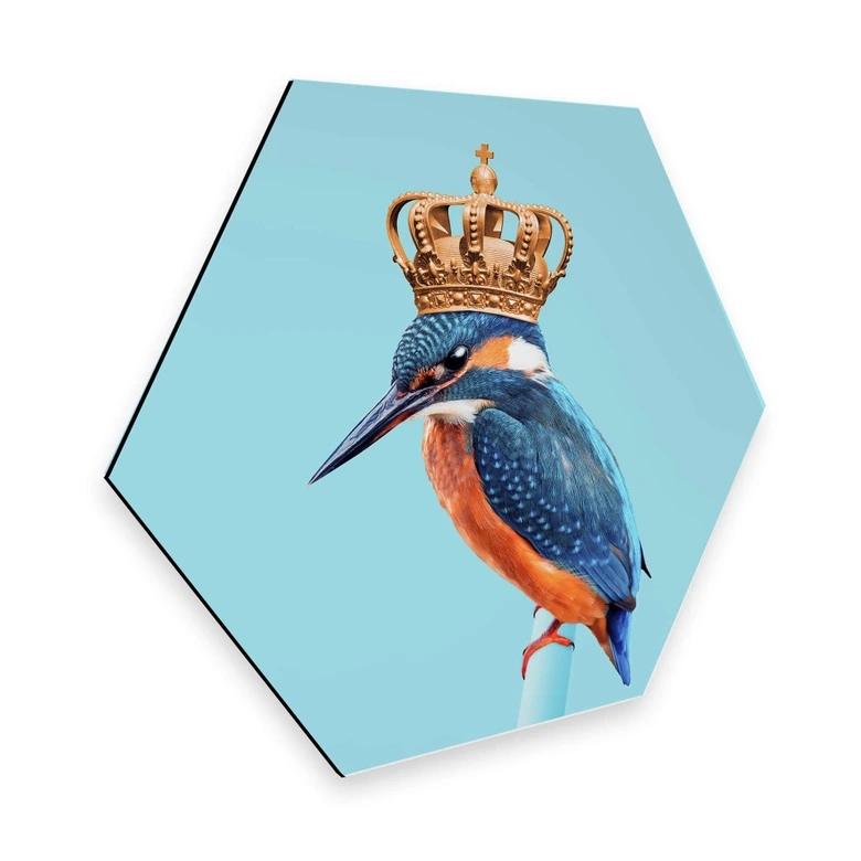 Hexagon - Alu-Dibond Loose - Kingfisher 