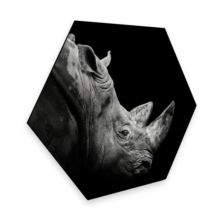Hexagon - Alu-Dibond Meermann - Das Nashorn 