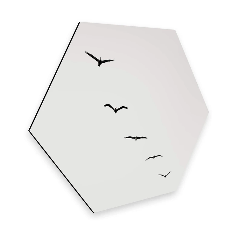 Hexagon Dibond Kubistika - High in the Sky 