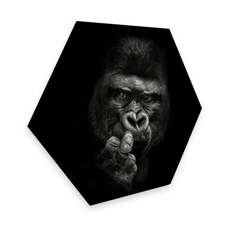 Hexagon - Alu-Dibond Meermann - Der Gorilla 