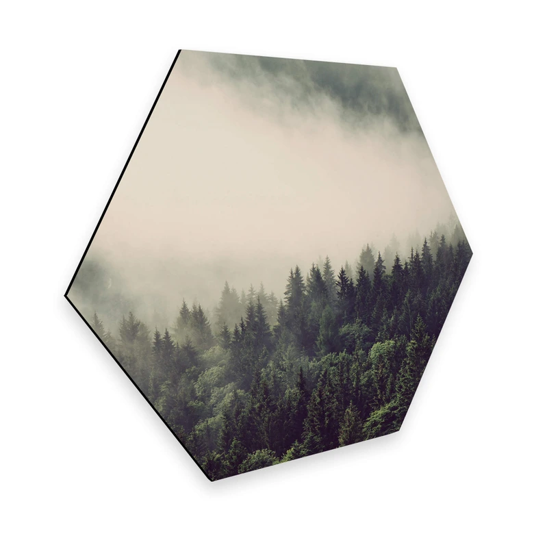 Hexagon - Alu-Dibond Nebel im Wald 02 
