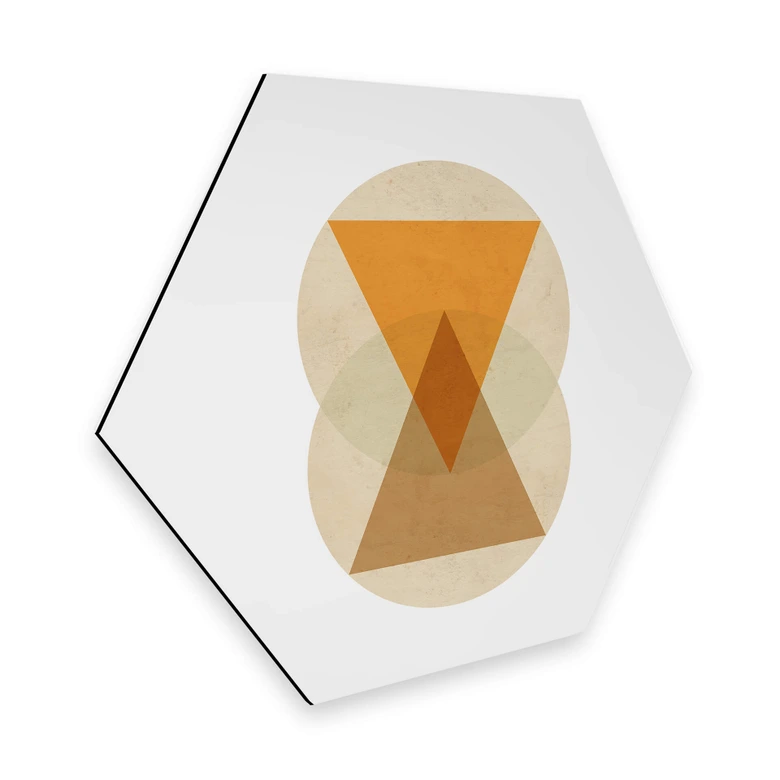 Hexagon Dibond Nouveauprints - Circles and Triangles 