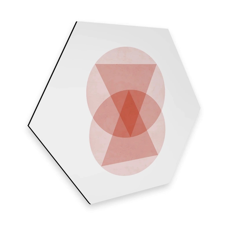Hexagon Dibond Nouveauprints - Circles and Triangles 