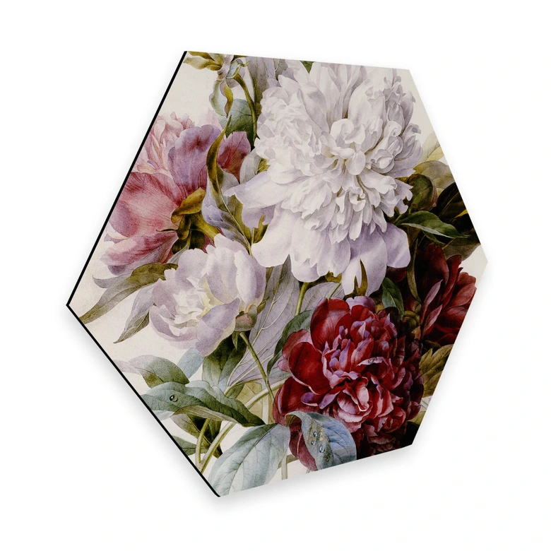 Hexagon - Alu-Dibond Redouté - Strauß von roten, lila und weißen Pfingstrosen 