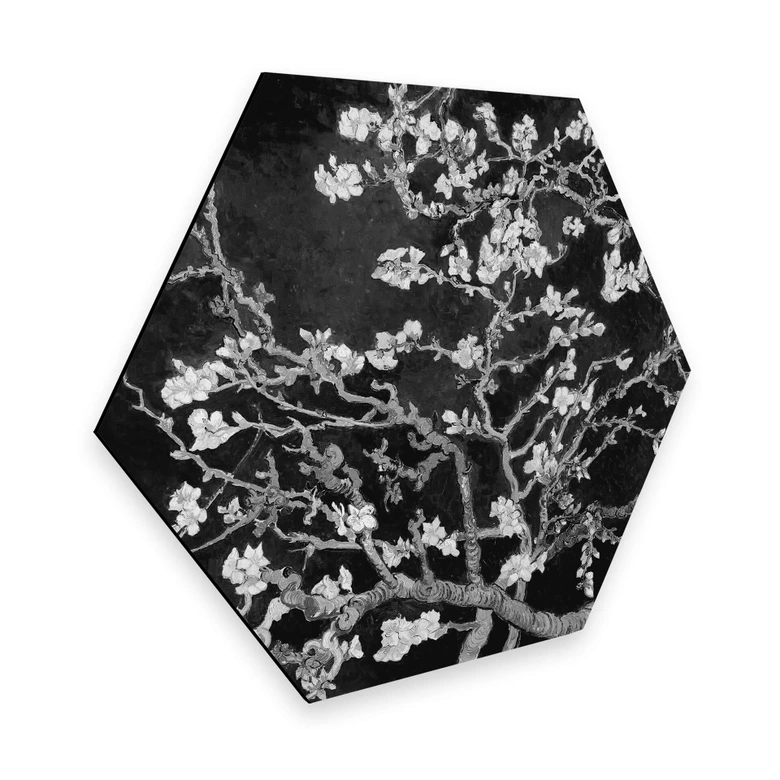 Hexagon - Alu-Dibond van Gogh - Mandelblüte - schwarz 