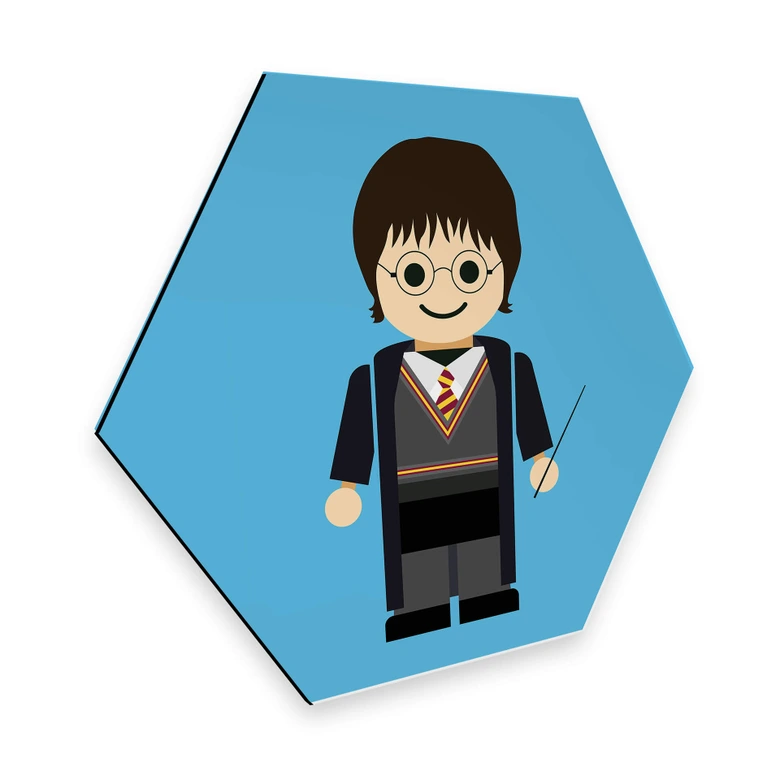 Hexagon - Alu-Dibond Gomes - Harry Potter Spielzeug 