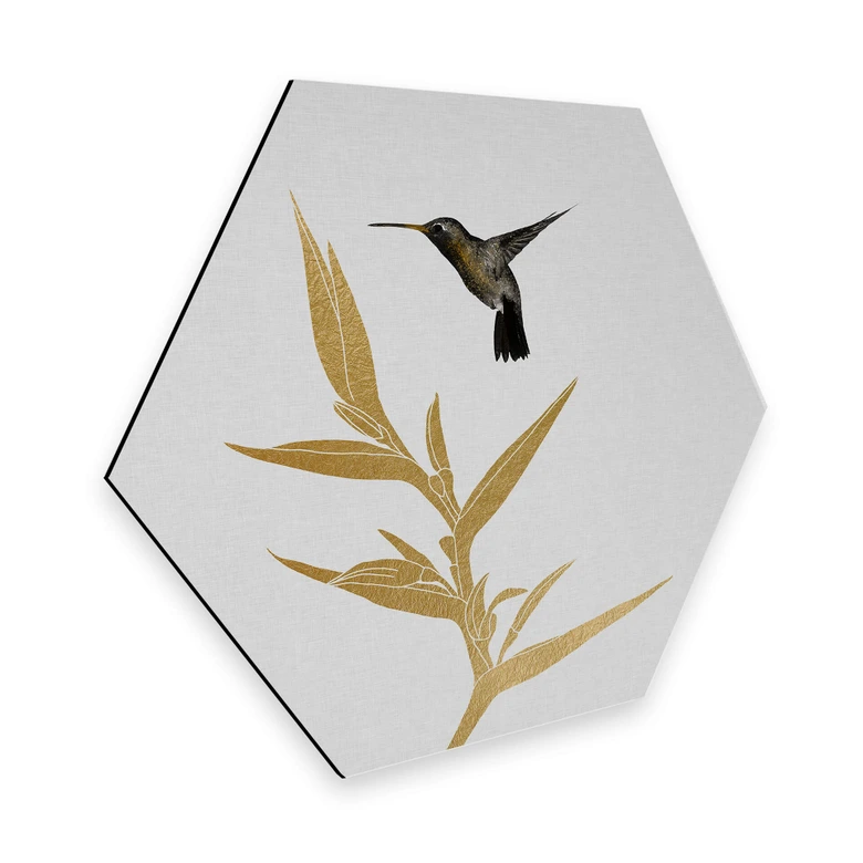 Hexagon Dibond Orara Studio - Hummingbird & Plant 