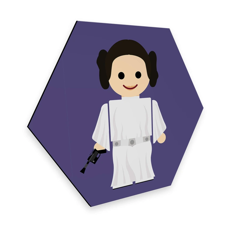 Hexagon - Alu-Dibond Gomes - Princess Leia Spielzeug 