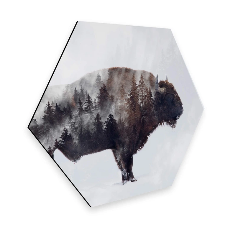 Hexagon - Alu-Dibond - Beáta - Der Bison 