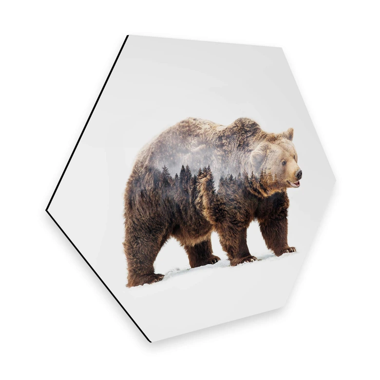 Hexagon - Alu-Dibond - Beáta - Der Bär 