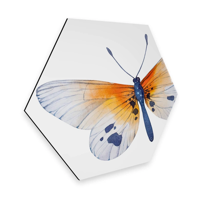 Hexagon - Alu-Dibond - Kvilis - Schmetterling 02 