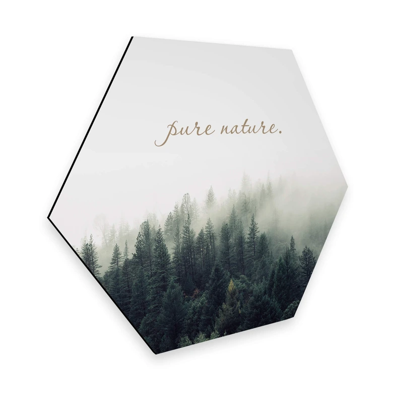 Hexagon - Alu-Dibond - Pure Nature 