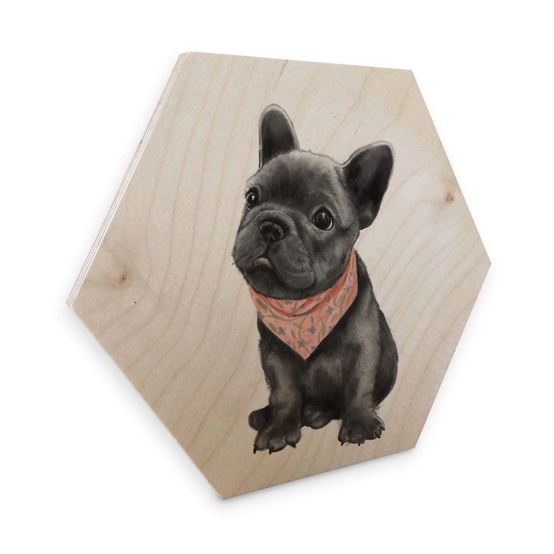 Hexagon - Holz Birke-Furnier Graves - Frenchie 
