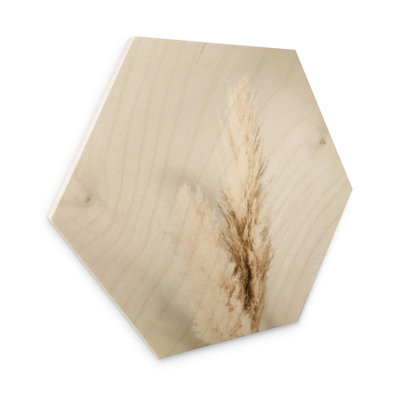 Hexagon - Holz 1X Studio - Gebundenes Pampasgras 