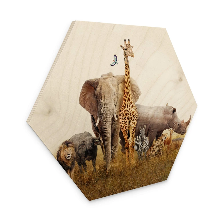 Hexagon Hout Afrikaanse Dieren 