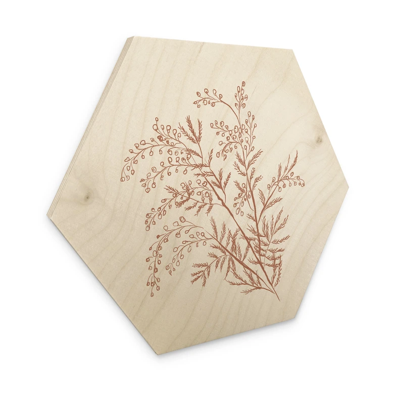 Hexagon Holzbild Zweig der Akazie in Mokkafarben - Anis Illustration 