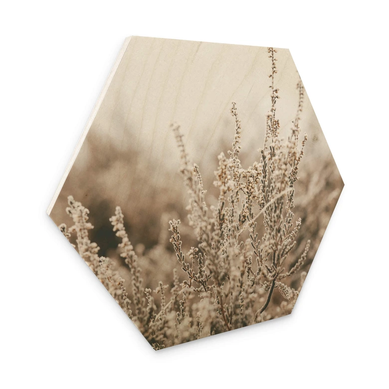 Hexagon - Holz Annie - Gräser 